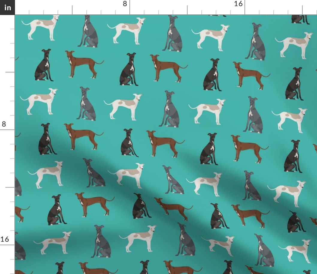 italian greyhound simple  dog breed fabric turquoise