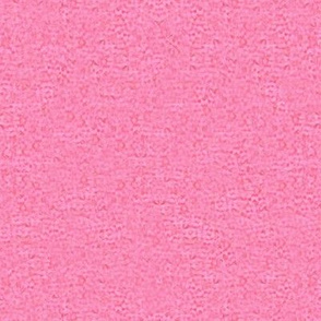 Pink Zinnia Texture