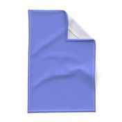 Periwinkle Solid / Coordinate Color Fabric 