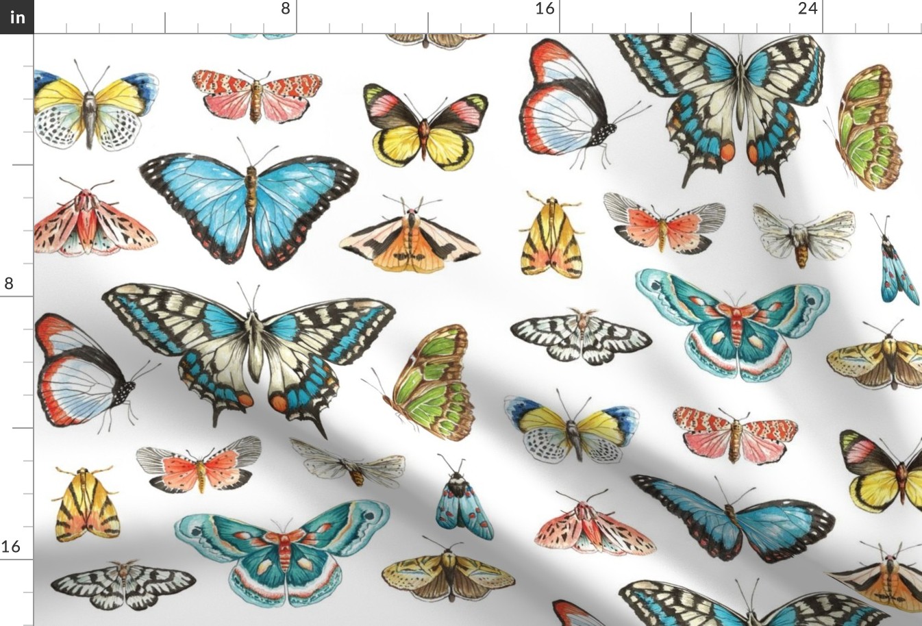 Watercolor Butterflies and Moths