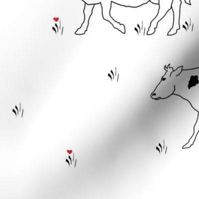 Cows in Field of Love