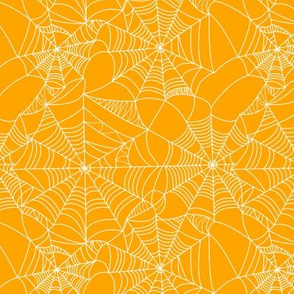 Spider Web // Orange