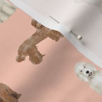 labradoodle simple unique dog breed fabric blush