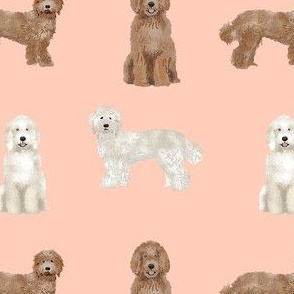 labradoodle simple unique dog breed fabric blush