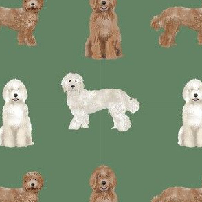 labradoodle simple unique dog breed fabric green