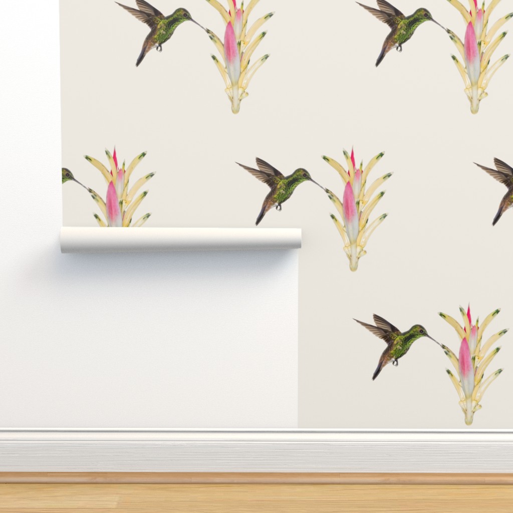 Copper rump and heliconia Ivory Wallpaper | Spoonflower