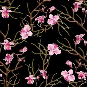 8" Pink Orchids - Black