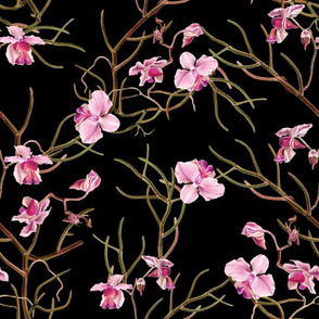 14" Pink Orchids - Black