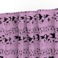 caw caw light orchid black