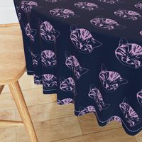 kitty medium navy light orchid