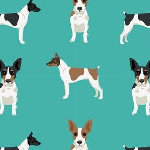 Rat Terrier simple dog breed fabric turquoise