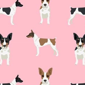 Rat Terrier simple dog breed fabric pink