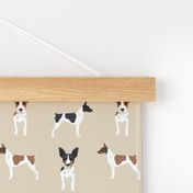 Rat Terrier simple dog breed fabric tan
