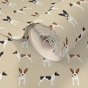 Rat Terrier simple dog breed fabric tan