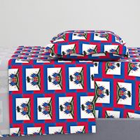 Haitian Flag