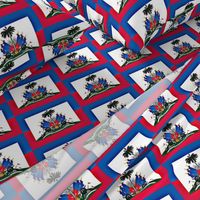 Haitian Flag