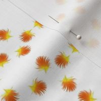 Sunny Conure feather flowers