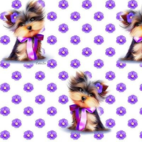 Yorkie Violet white M