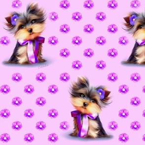 Yorkie Violet pink M