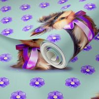 Yorkie Violet turquoise M