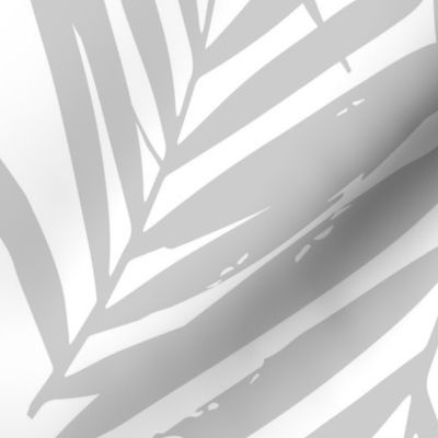 palm fronds LARGE - palm leaves wallpaper cloud grey 