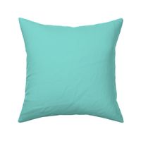 Solid Medium Robin Egg Blue (#81D8D0)