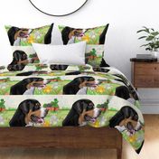 Greater Swiss Mountain Dog Fabric