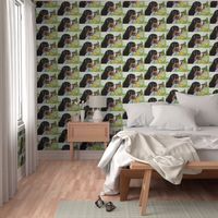 Greater Swiss Mountain Dog Fabric