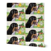 Greater Swiss Mountain Dog Fabric