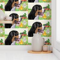 Greater Swiss Mountain Dog Fabric