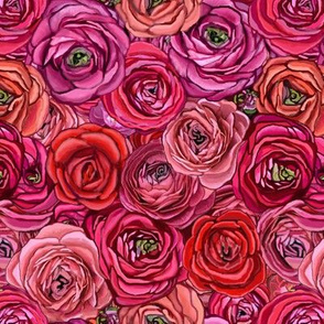 Ranunculus red & Pink floral // red Rose // pink rose  //Ranunculus flower // Floral // 