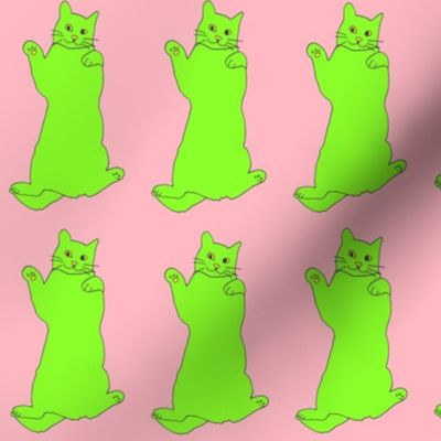 greenyellowcatonpink