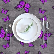 Monarch Butterflies Purple on Gray Granite