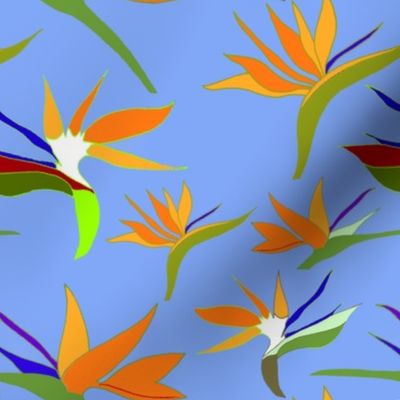 Birds Of Paradise And A Blue Blue Sky