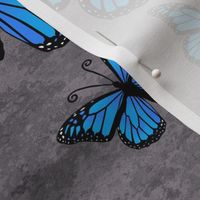 Monarch Butterflies Blue on Gray Granite