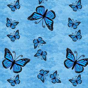 Monarch Butterflies All Blue on Blue Granite