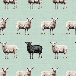 Baa Baa Black Sheep, Black and White Wool Fleece Sheep Coats, Whimsical Nursery Rhyme on Green
