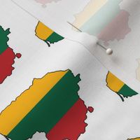 Lithuania Flag Overlay