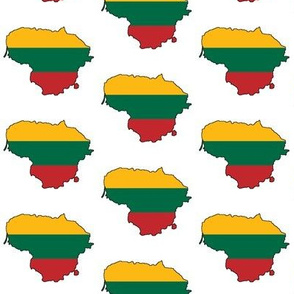 Lithuania Flag Overlay