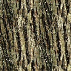 Bark Pattern