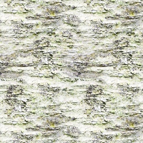 Birch Bark Fabric