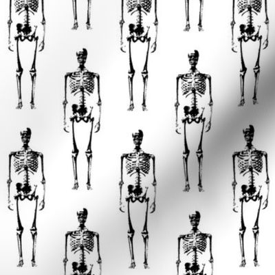 Skeletons // Large