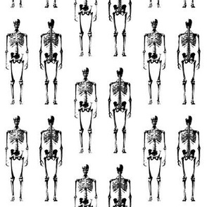 Skeleton Mug Shot // Small