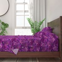 Purple Floral Ranunculus Roses