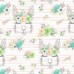 2.25" llama blush stripes