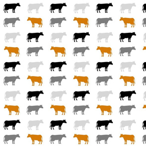 cows gray black orange