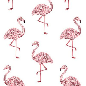 Funky Flamingos on White