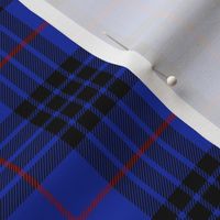 Blue MacKay or Morgan tartan, 3" bright - 1842 Vestiarium Scoticum 