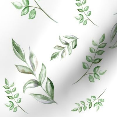 Watercolor Leaves - Green -Ecylptus 