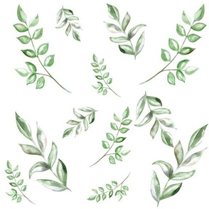 Watercolor Leaves - Green -Ecylptus 